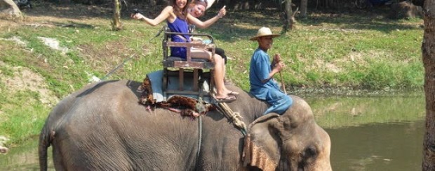 Dalat Elephant Ride Eco Tour