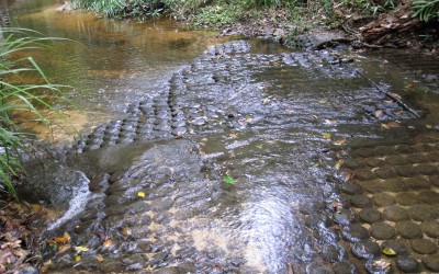 Lingas at Kulen Mountain in Siemreap