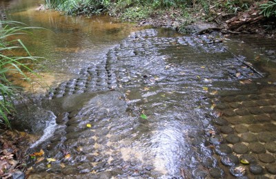 Lingas at Kulen Mountain in Siemreap