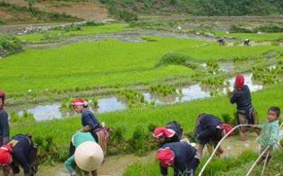 Sapa easy trekking tour