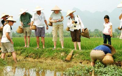 Vietnam Eco Tours