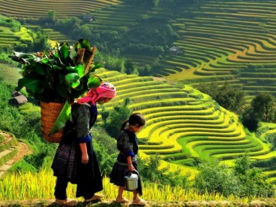 Sapa daily tours