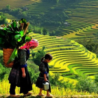 Sapa daily tours