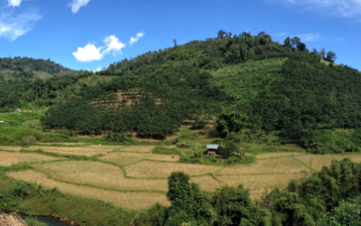 Laos