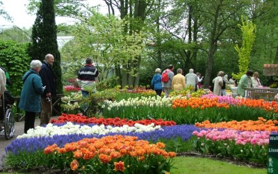 Da Lat Flower garden