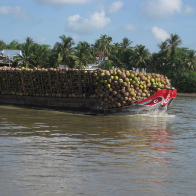 Mekong delta 3