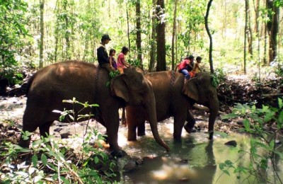 Modulkiri trek and elephant ride