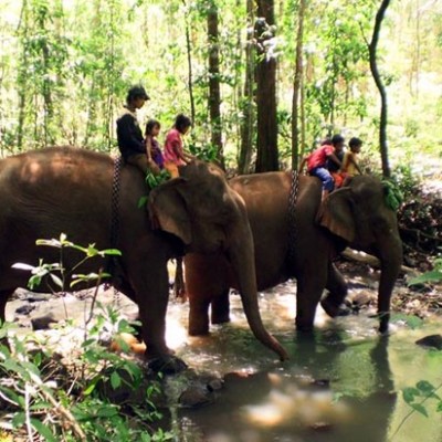 Modulkiri trek and elephant ride